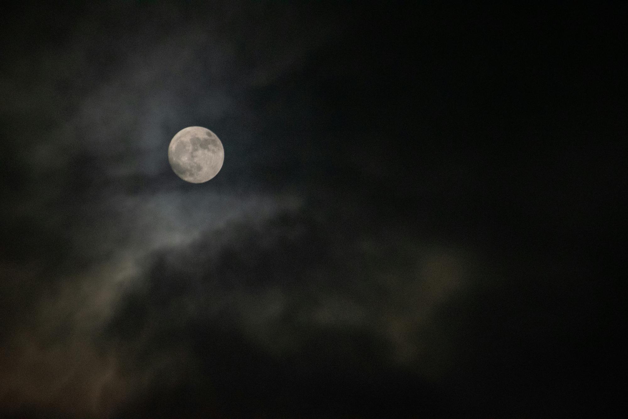 More to Explore: Flanor Werewolves
